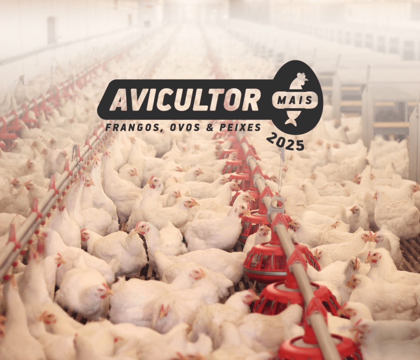 Os desafios da ambiência perfeita serão apresentados no Avicultor Mais 2025