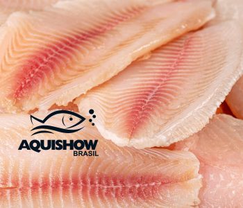 aquishow-tilapia-exportacao-destaque