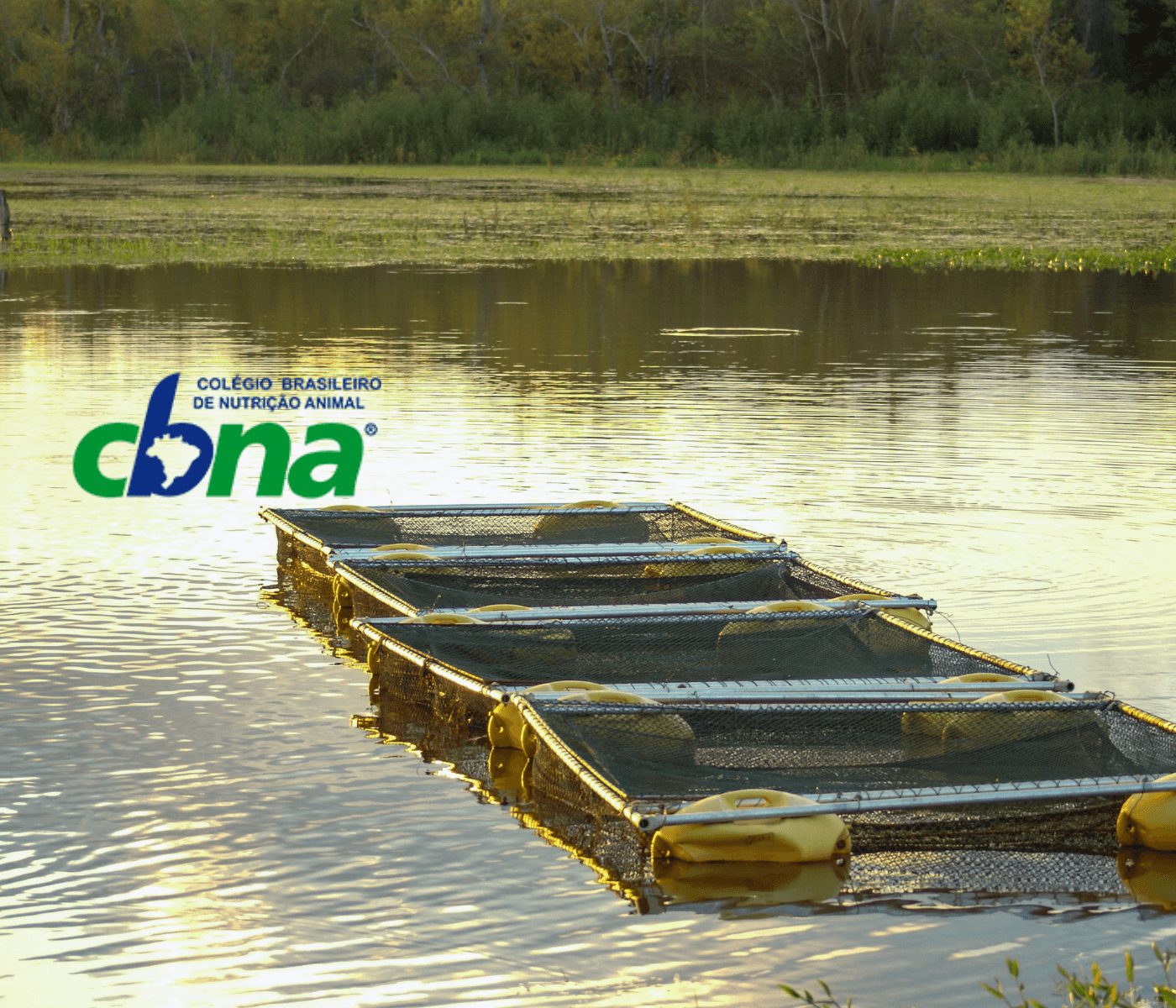 Sustentabilidade na nutrição em aquacultura foi foco do V Workshop CBNA 2025