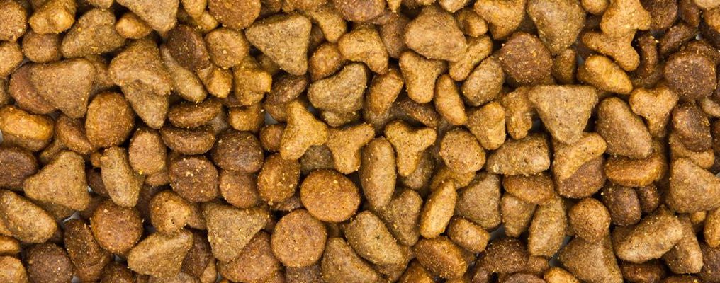 gatos carbohidratos