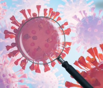 influenza-aviaria-duvidas-destaque