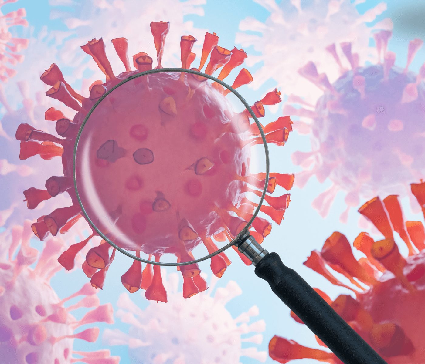 Influenza aviária: veja informações e orientações à população