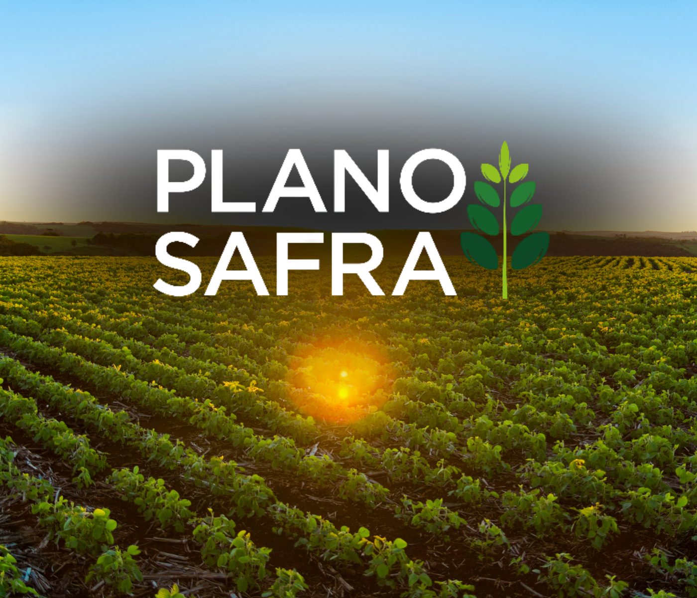 Expectativa para o novo Plano Safra já mobiliza Agro