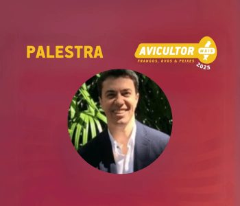 BRUNO-AVICULTOR-25
