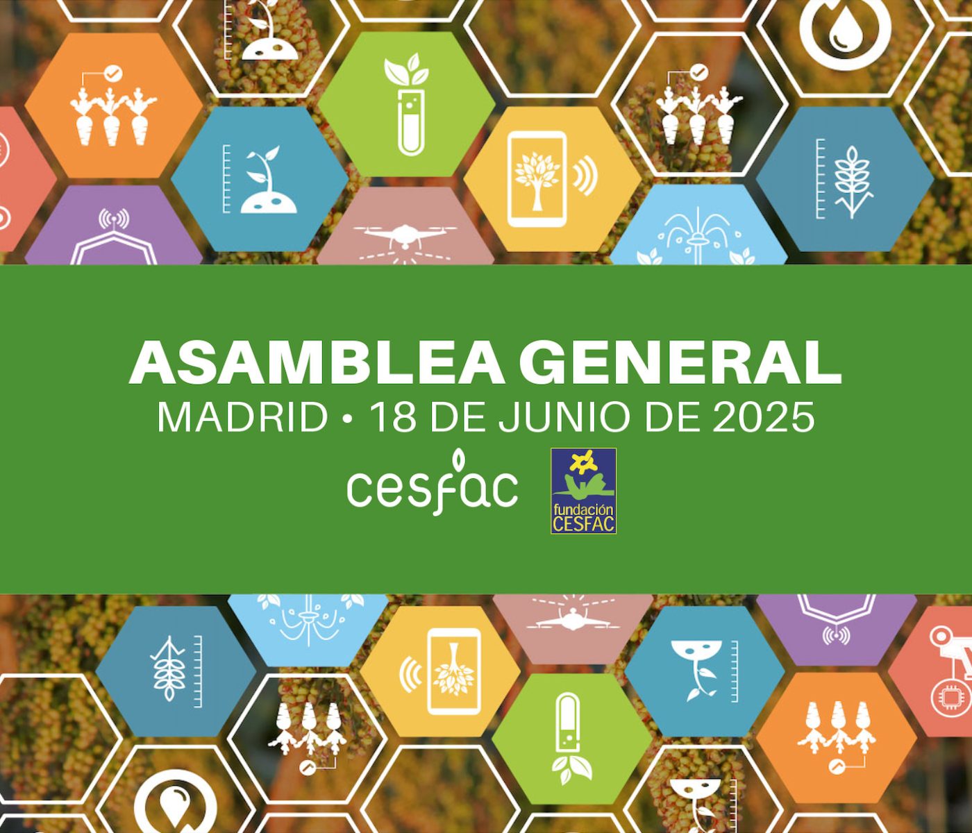 Asamblea general de CESFAC 2025