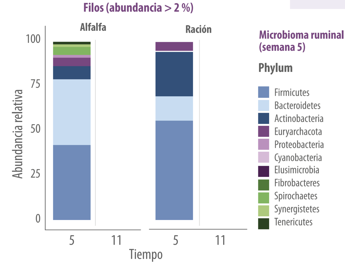 terneras