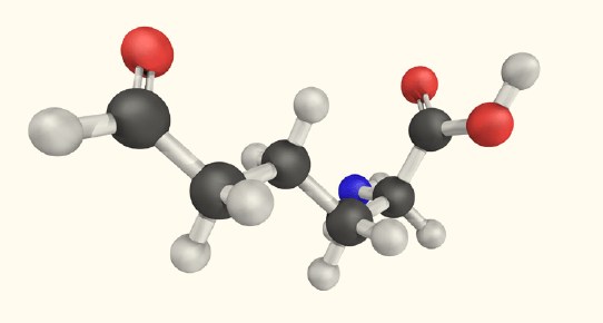 aminoacidico