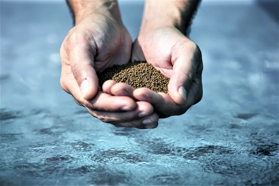 Meeting aquafeed specifications by understanding the ingredients