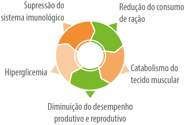 cortisol-situacoes-de-estresse