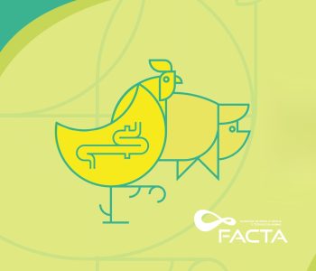 facta-nutricao-intestinal-destaque