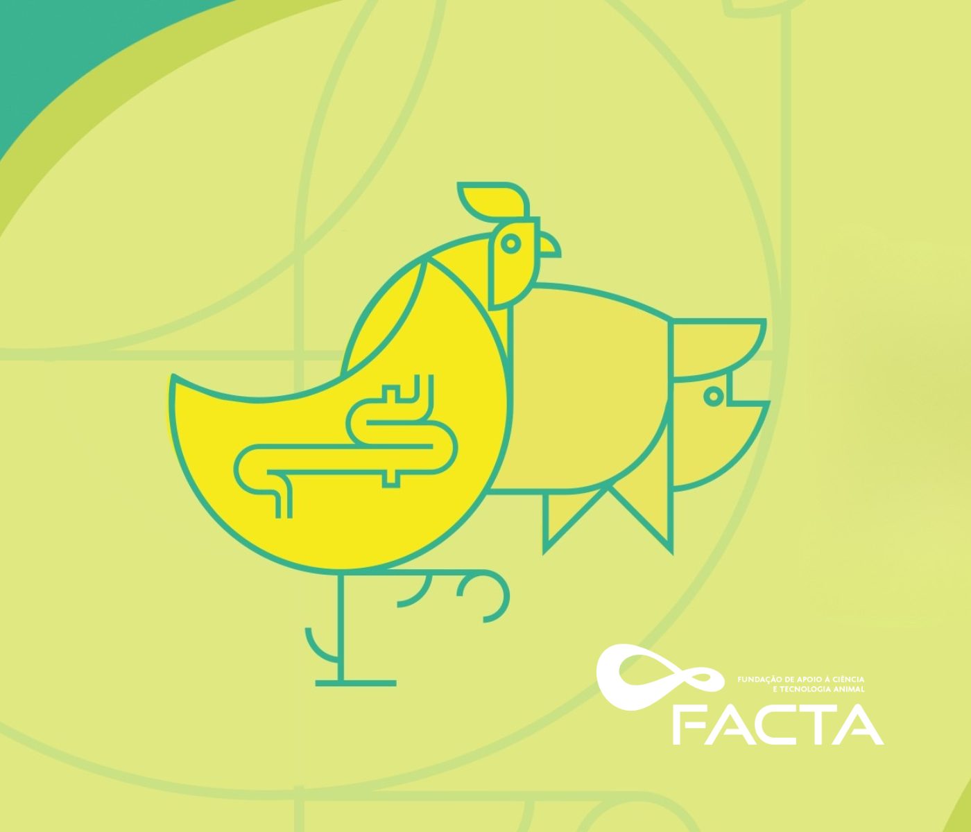 Foz do Iguaçu sediará simpósio sobre nutrição intestinal de aves e suínos