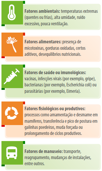 fatores-situacoes-de-estresse