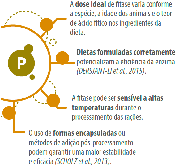fatores-uso-fitase
