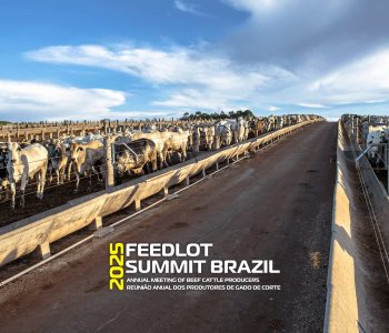 feedlot-summit-pecuaria-de-corte-destaque