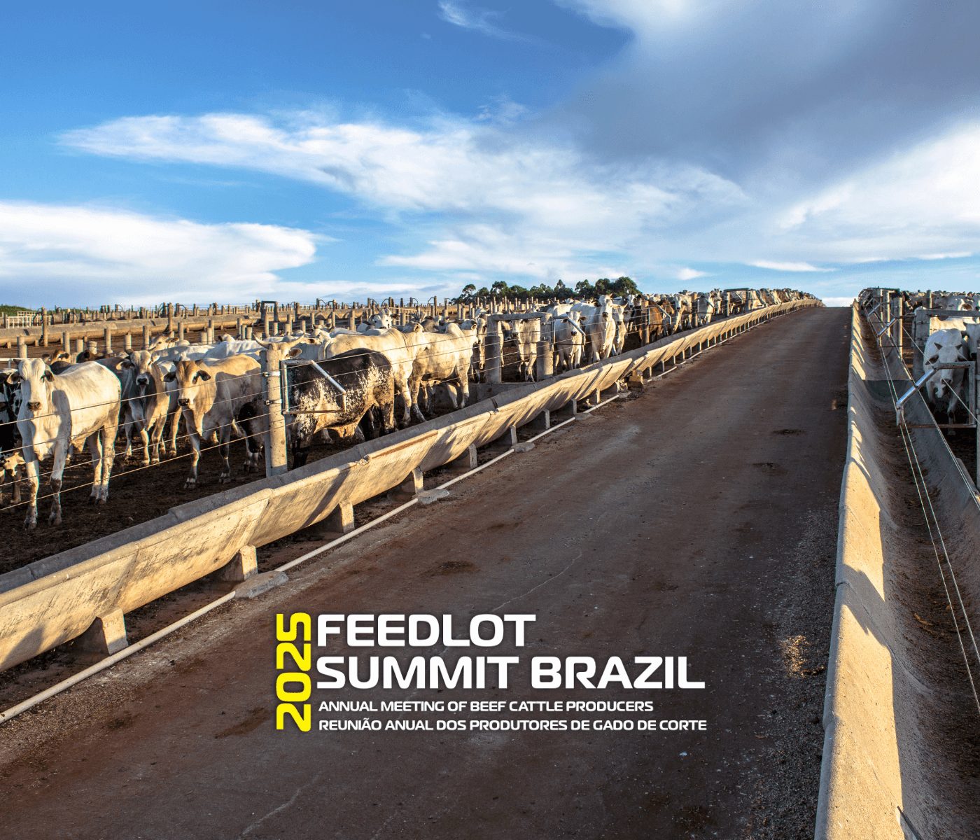 Feedlot Summit Brazil 2025: gestão eficiente na pecuária de corte