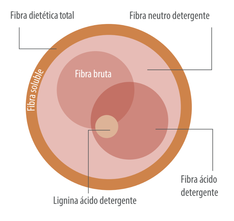 fibra dietas aves