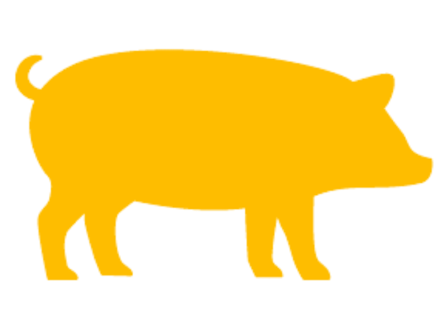 icono-lechon-amarillo