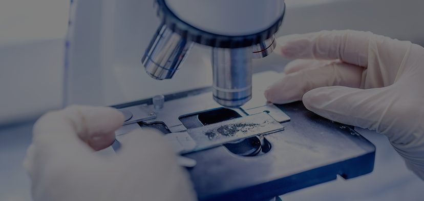 Investigación