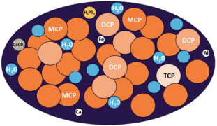 fosfatos-moleculas