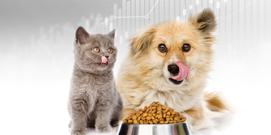 Pet food biz grows in Thailand with annual revenue of USD 10b