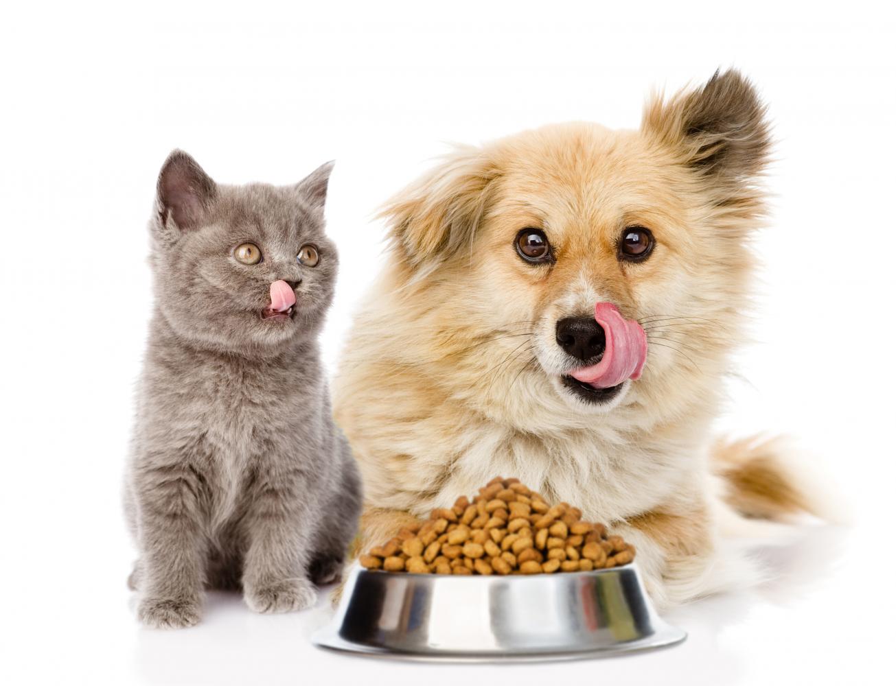 Thailand eyes more pet food exports amid China-US standoff
