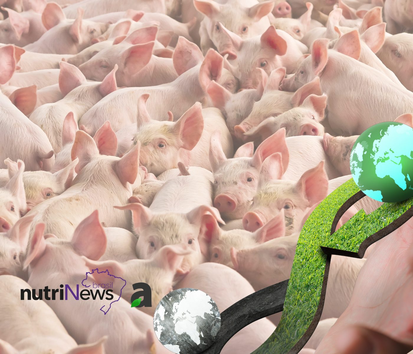 Economia Circular na Suinocultura: Biogás como Alternativa Sustentável