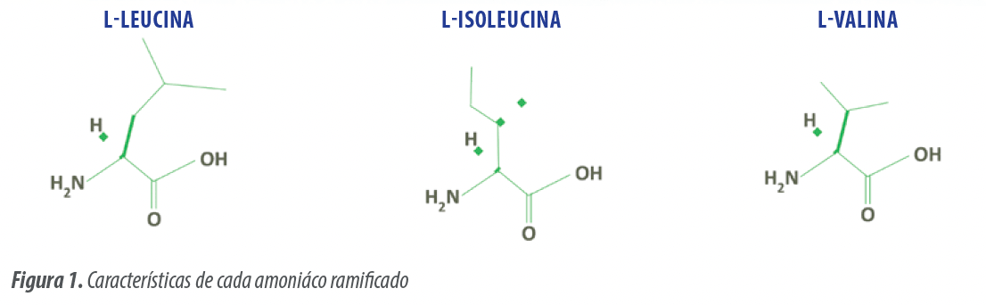 Figura1