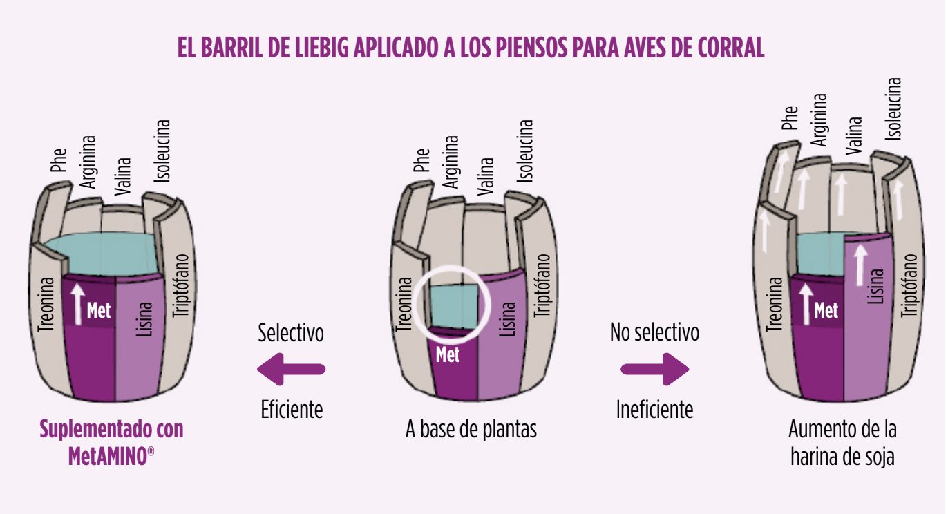 nutrición animal sostenible