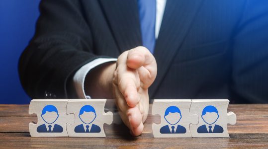 Three final bidders interested in dsm-firmenich’s ANH unit