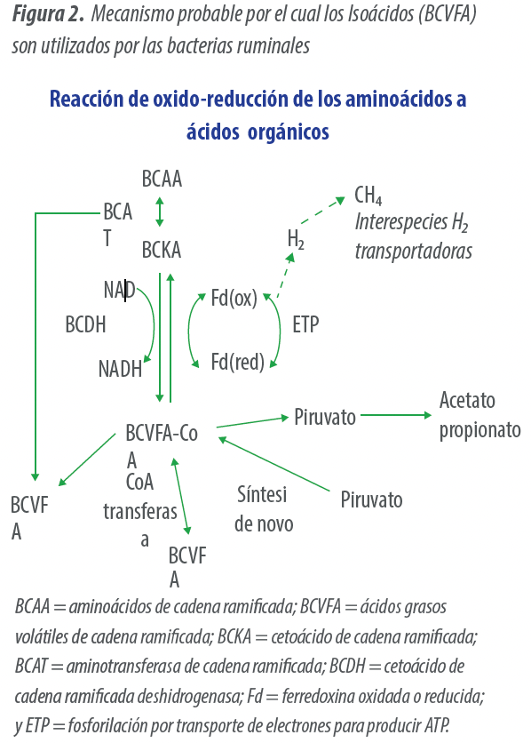 figura2