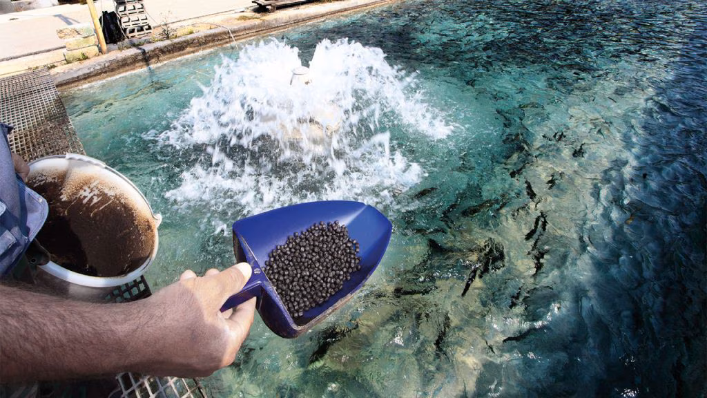 Aquaculture