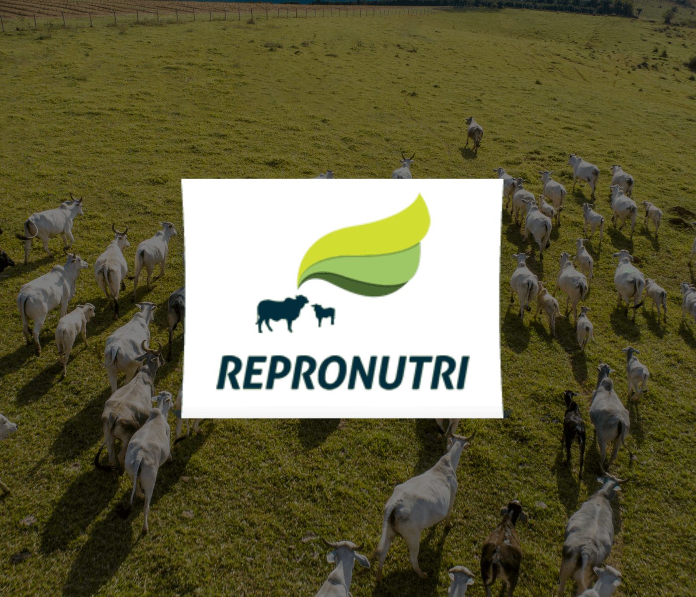 Pecuária do futuro presente no Repronutri 2025