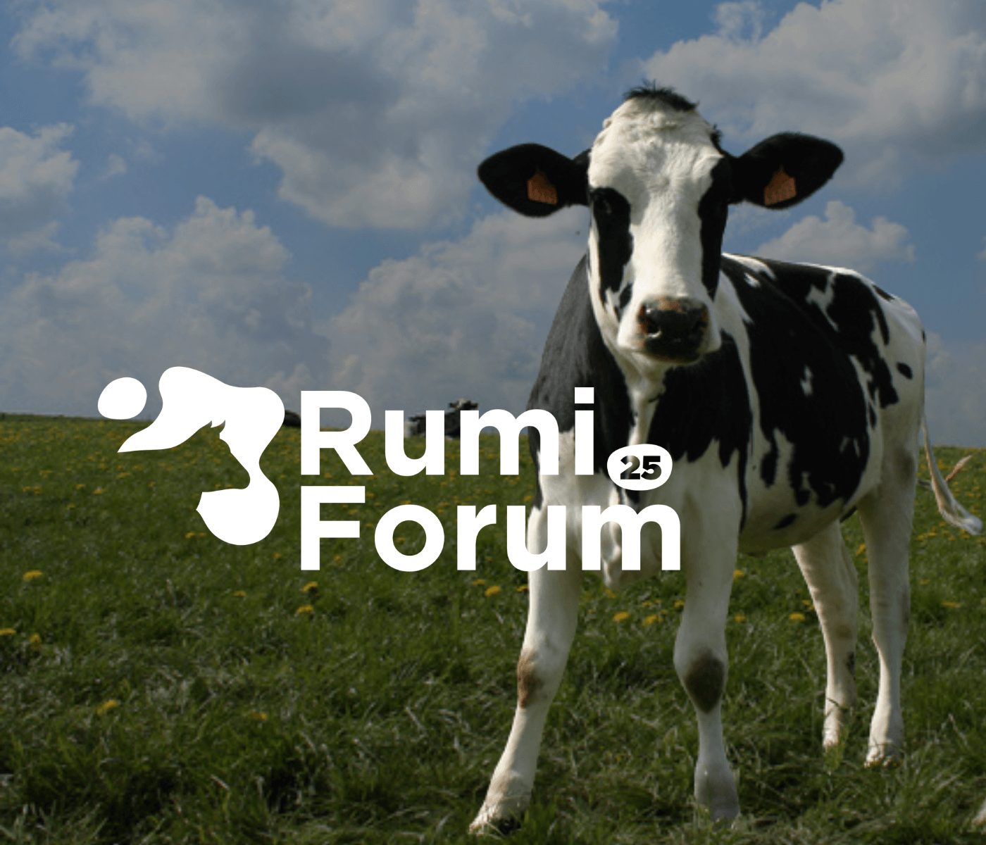 rumiForum contará con David Yáñez, experto en nutrición de rumiantes