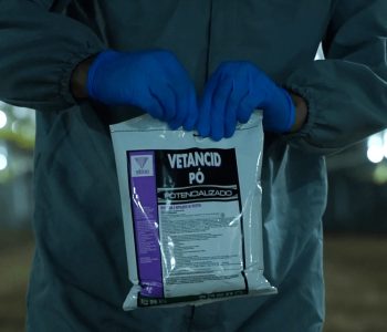 vetancid-cascudinho-destaque