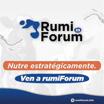 http://rumiFORUM%202025