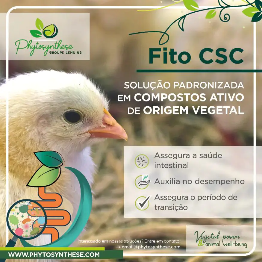 http://Phytosynthese%20roubapáginas%20BR