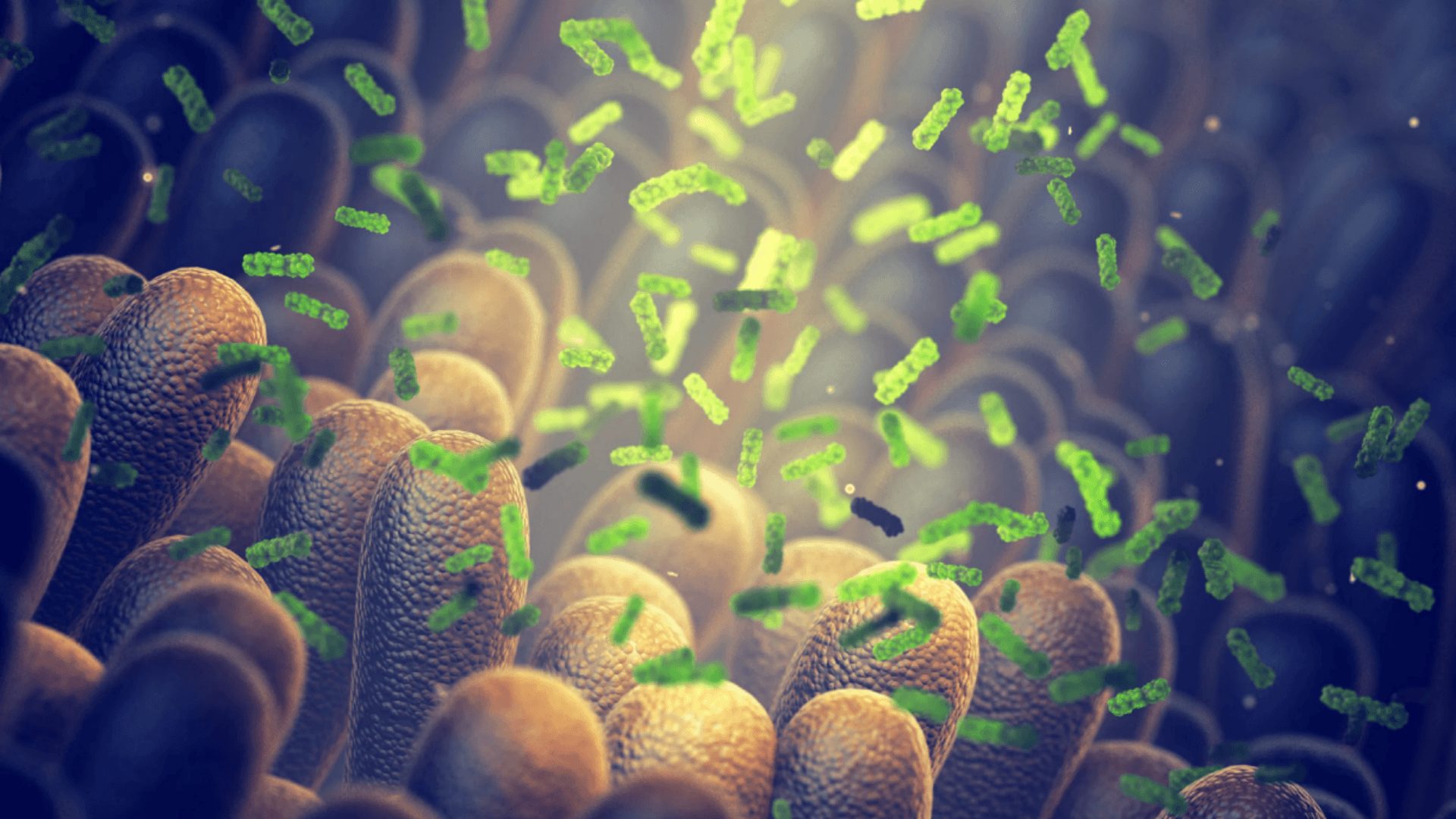 Manejo de micotoxinas: salud intestinal como estrategia preventiva
