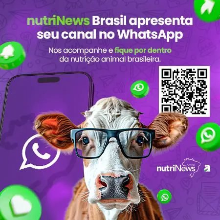 http://canal%20whats%20nutriNews%20roubapáginas