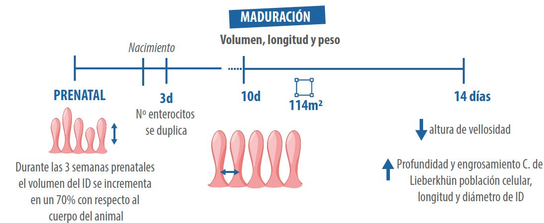 fig1
