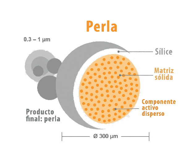 fig1