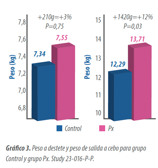 graf3