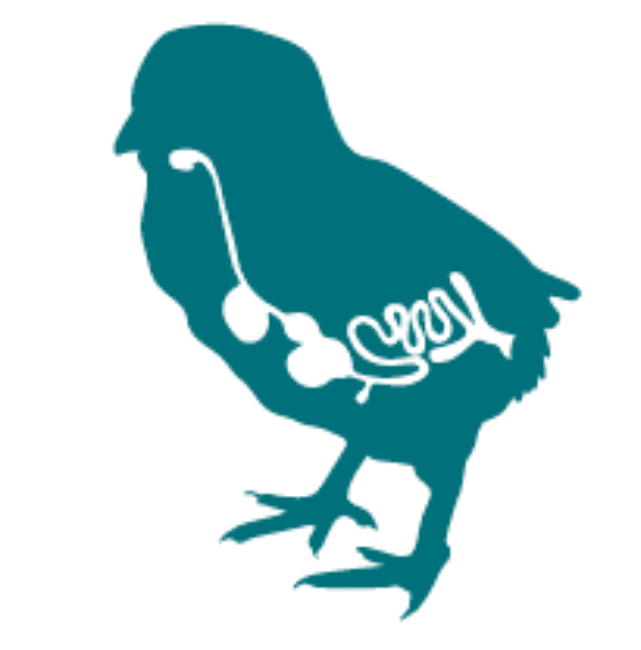 icono-pollo