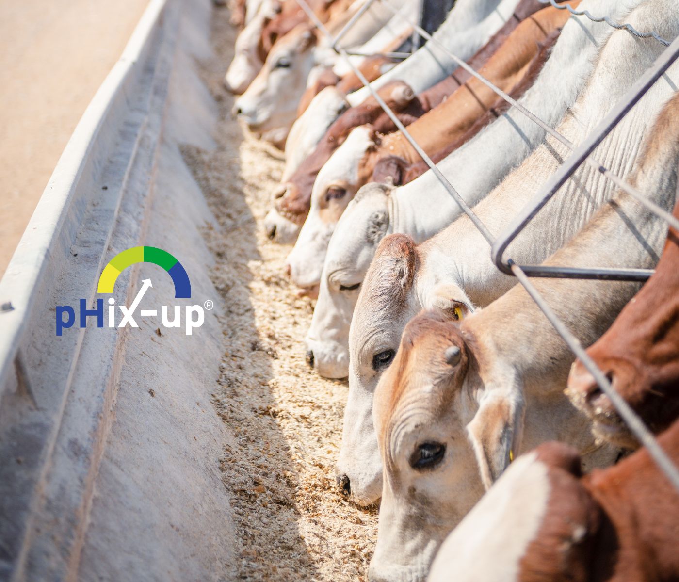 pHix-up: a tecnologia de 5 cristais de Magnésio e alta neutralização ...