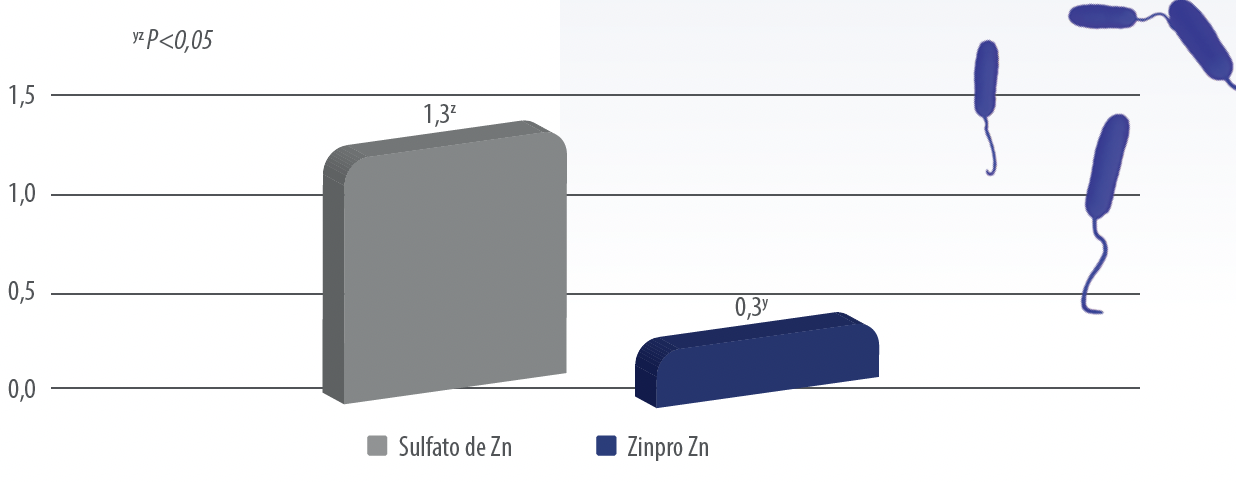 Zinc y Hierro