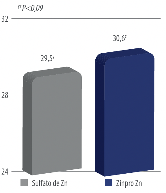 Zinc y Hierro