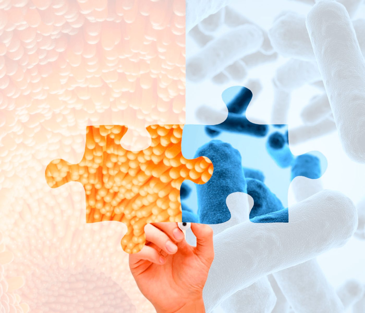 Alternativas proteicas en nutrición animal sostenible