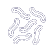 bacterias