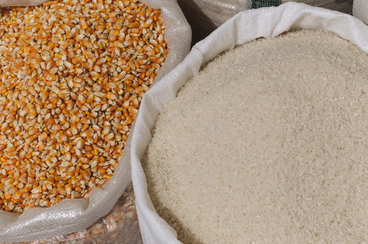 Indonesia to declare rice and corn self-sufficiency on December 31