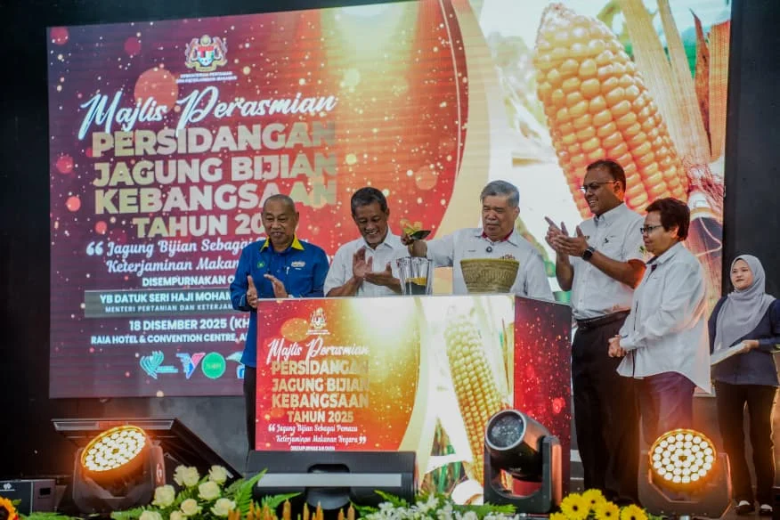 Malaysia advances grain corn for feed security