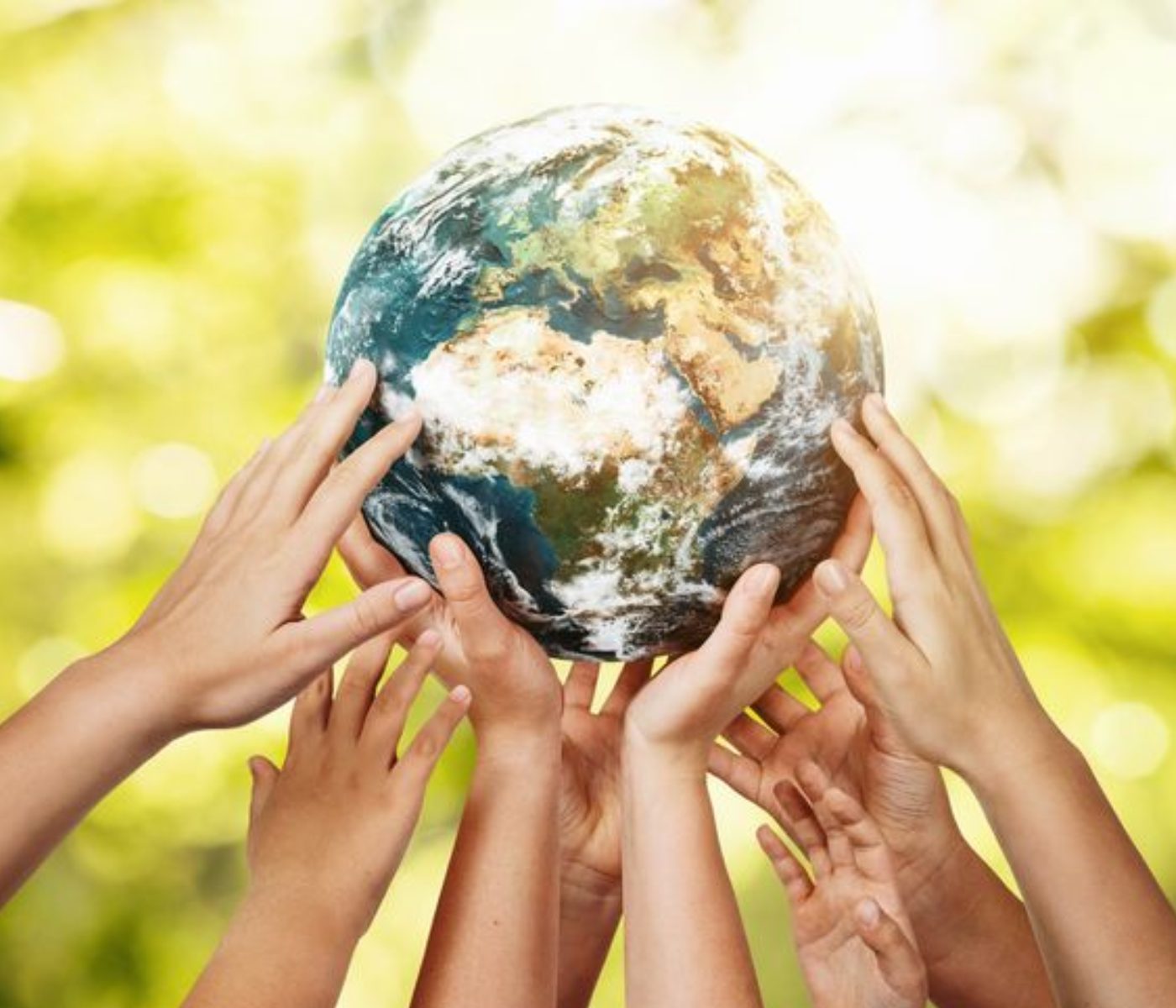 Adisseo earns CDP ‘B’ rating for climate transparency